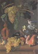 Juan de  Espinosa Still Life with Grapes (san 05) Spain oil painting artist